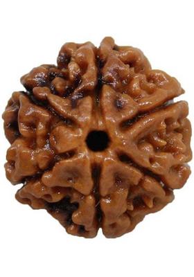 Beautum 6 MUKHI ORIGINAL RUDRAKSHA NEPALI ORIGINAL Wood Pendant