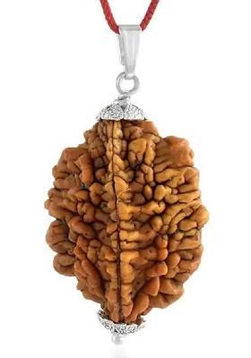 RIKIJAZ Powerful 2 Mukhi Rudraksha with Lab-Tested Certificate Silver Wood Pendant