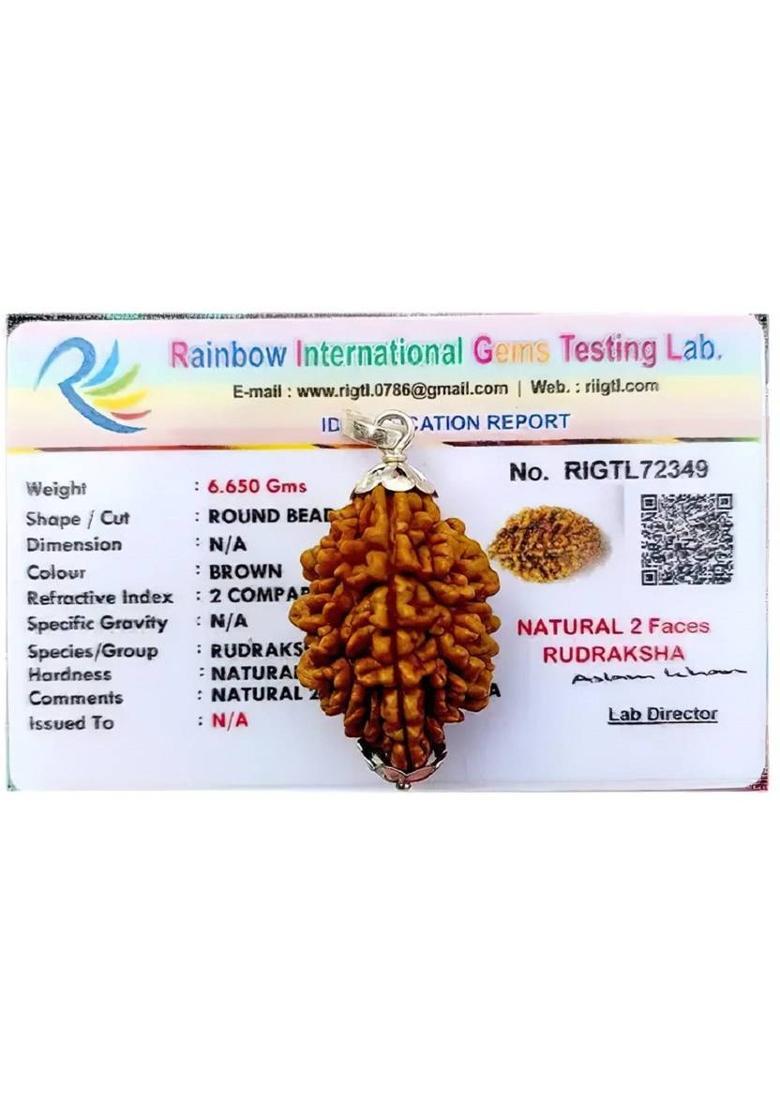 RIKIJAZ Powerful 2 Mukhi Rudraksha with Lab-Tested Certificate Silver Wood Pendant - Indya