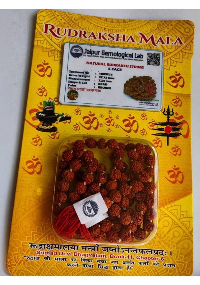 Robin Export Company Premium Quality Five Face Nepali Water Rudraksha 10 Beads Lab Tested Beads Wood - Indya