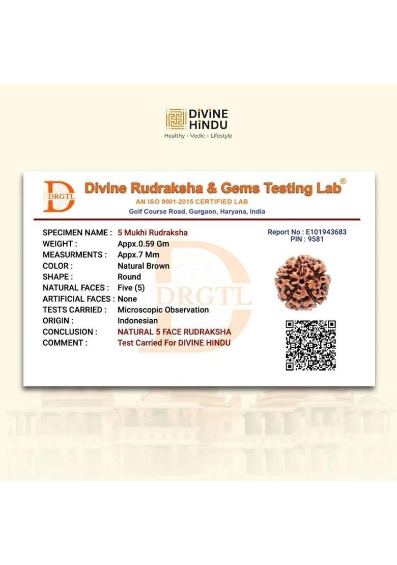 Brass, Rudraksha Gold-plated Bracelet - Indya