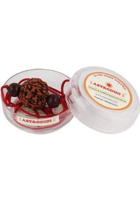 Astrodidi 6 Mukhi Rudraksha / Six Face Rudraksha With Red Chandan Beads Wood Pendant