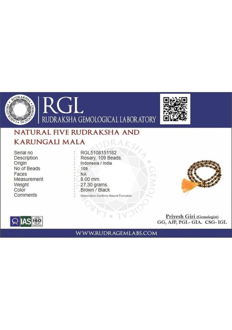 Original Karungali Rudraksha Malai 108+1 Beads 8mm (ISO Lab Certified) Rudraksha Necklace - Indya