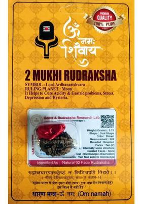 robin collection 2 Mukhi Genuine Nepali Rudraksha Two Faced Rudraksh Sterling Silver Beads Wood