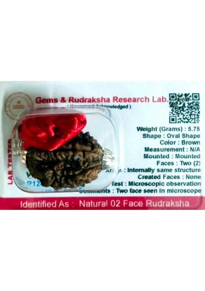 robin collection 2 Mukhi Genuine Nepali Rudraksha Two Faced Rudraksh Sterling Silver Beads Wood - Indya