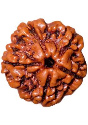 jupiter speaks Lab Certified 5 Mukhi Rudraksha Nepali Size 18-20 mm Color Brown 100% Original Natural Bead for Men & Women Wood Pendant