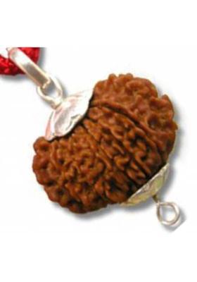 AJ 14 Mukhi Nepali Siddha Rudraksha Pendent With IGL Certified Silk Dori Pendant