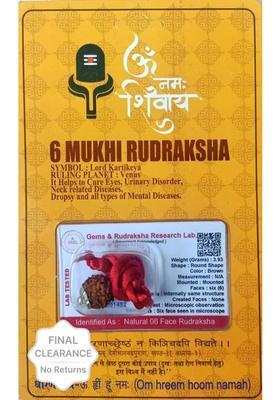 Divine rudras 6 Mukhi Rudraksha With Pendant Lab Certified Wood Pendant