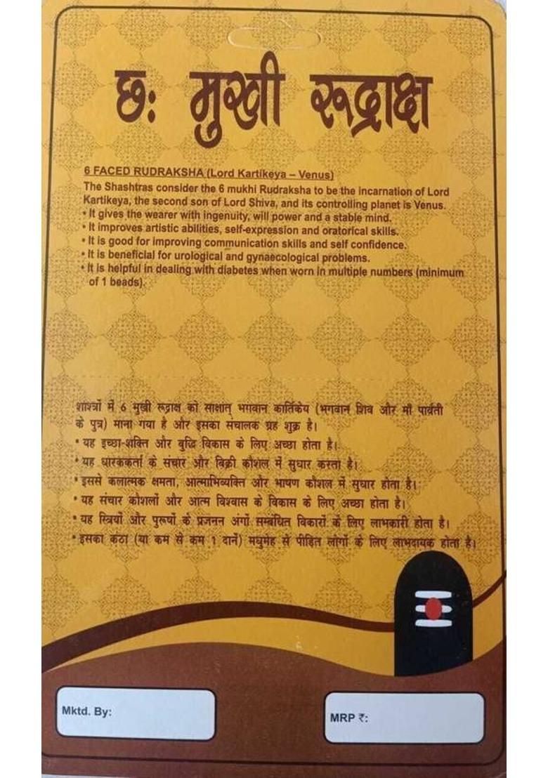 Divine rudras 6 Mukhi Rudraksha With Pendant Lab Certified Wood Pendant - Indya