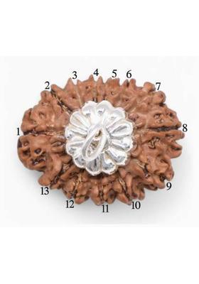 Vegga 13 mukhi pendant rudraksha nepali original Wood