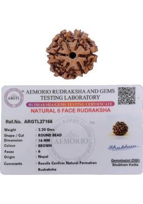 jupiter speaks 6 Mukhi Rudraksha Nepal Lab Certified Natural Brown Color Bead Size 15-16 mm Wood Pendant