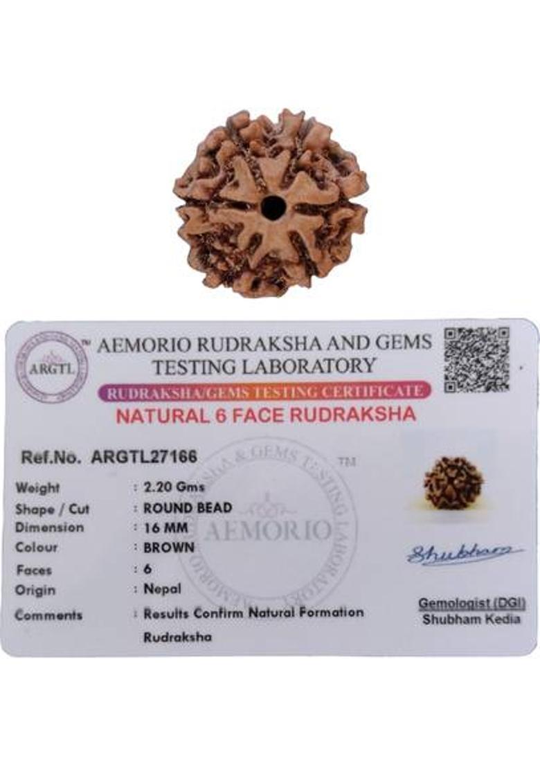 jupiter speaks 6 Mukhi Rudraksha Nepal Lab Certified Natural Brown Color Bead Size 15-16 mm Wood Pendant - Indya