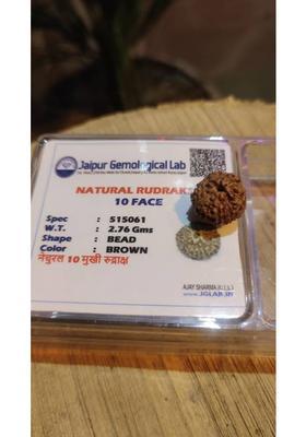Shiv Aastha Pure Natural Brown 10 Mukhi Nepali Rudraksha Pendant Beads Wood Pendant