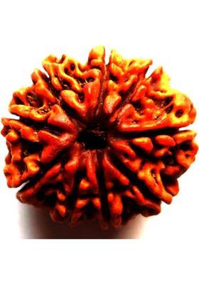 Navdurga Jyotish Kendra 9 Mukhi Rudraksha Natural Lab Certified (100% Original) Wood Locket