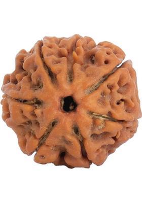 Astrotalk 100% Original Nepal 7 Mukhi Rudraksha | Lab Certified | Sacred Bead | Silk Dori Pendant