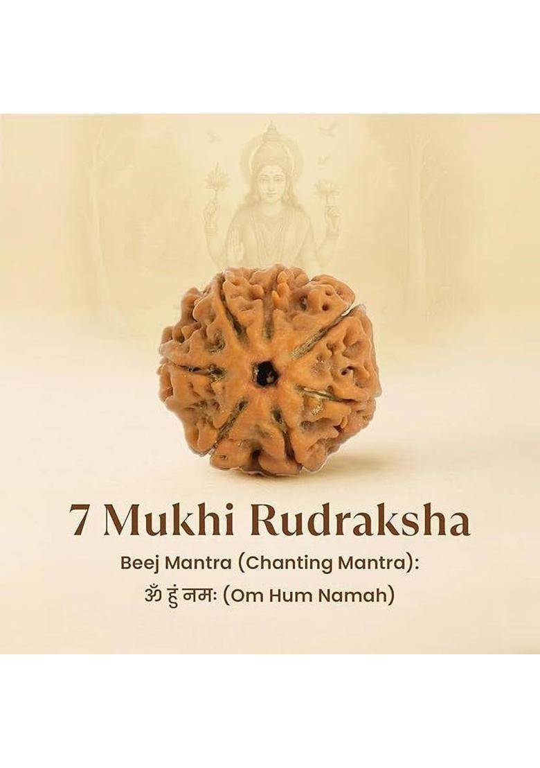Astrotalk 100% Original Nepal 7 Mukhi Rudraksha | Lab Certified | Sacred Bead | Silk Dori Pendant - Indya