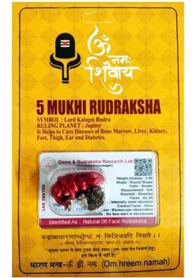 Robin Export Company 5 Mukhi Rudraksha Five Faced Nepali Rudraksha With Certificate Lab Test Sterling Silver Beads Wood