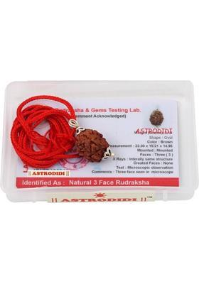 Astrodidi 3 Mukhi Rudraksha 100% Original and Natural Three Face Rudraksha with Lab Report Silver Wood Pendant