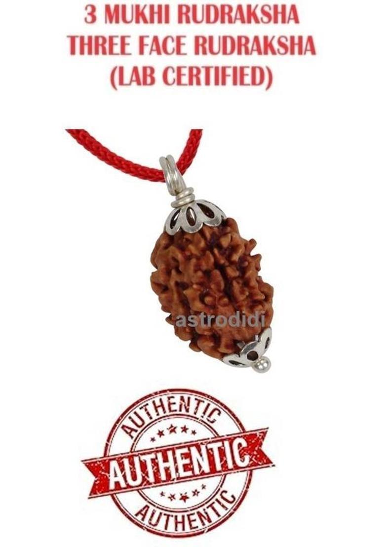 Astrodidi 3 Mukhi Rudraksha 100% Original and Natural Three Face Rudraksha with Lab Report Silver Wood Pendant - Indya