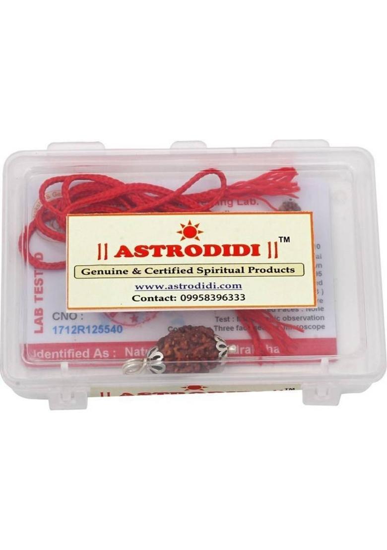 Astrodidi 3 Mukhi Rudraksha 100% Original and Natural Three Face Rudraksha with Lab Report Silver Wood Pendant - Indya
