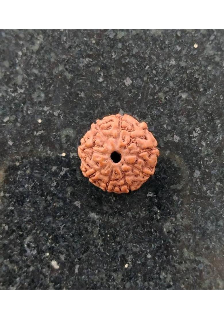 jupiter speaks 9 Mukhi Rudraksha With Lab Certificate, 100% Original Indonesia (Java) Origin Bead Size 14-18 mm Brown Color with Silk Dori Thread for Men and Women Wood Pendant - Indya