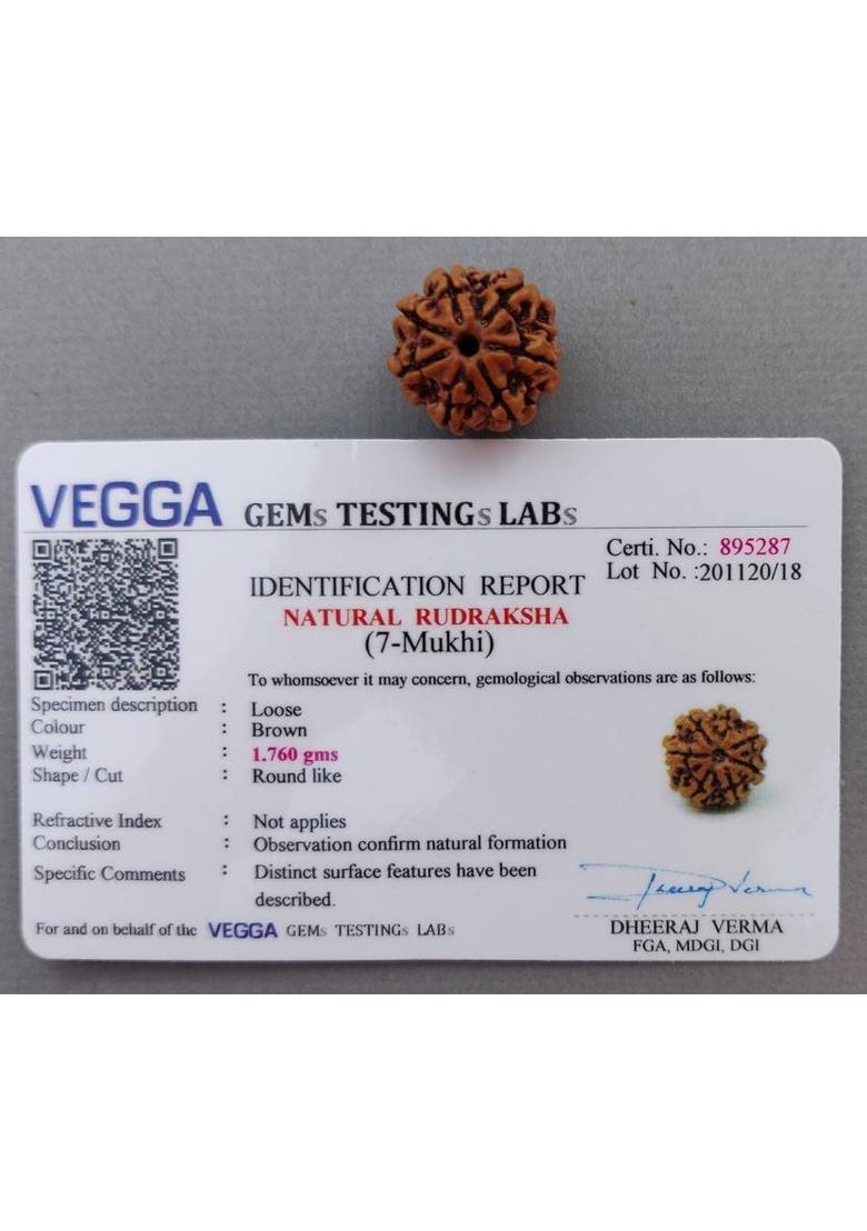 Vegga Certified 7 Mukhi Rudraksha Nepal, 100% Original Seven Face Rudraksha With Red Silk Thread Brown Color Bead for Men and Women Wood Pendant - Indya