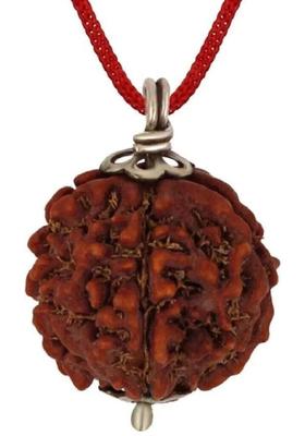 Divine rudras 5 Mukhi Nepali Rudraksha Big Size Wood Pendant