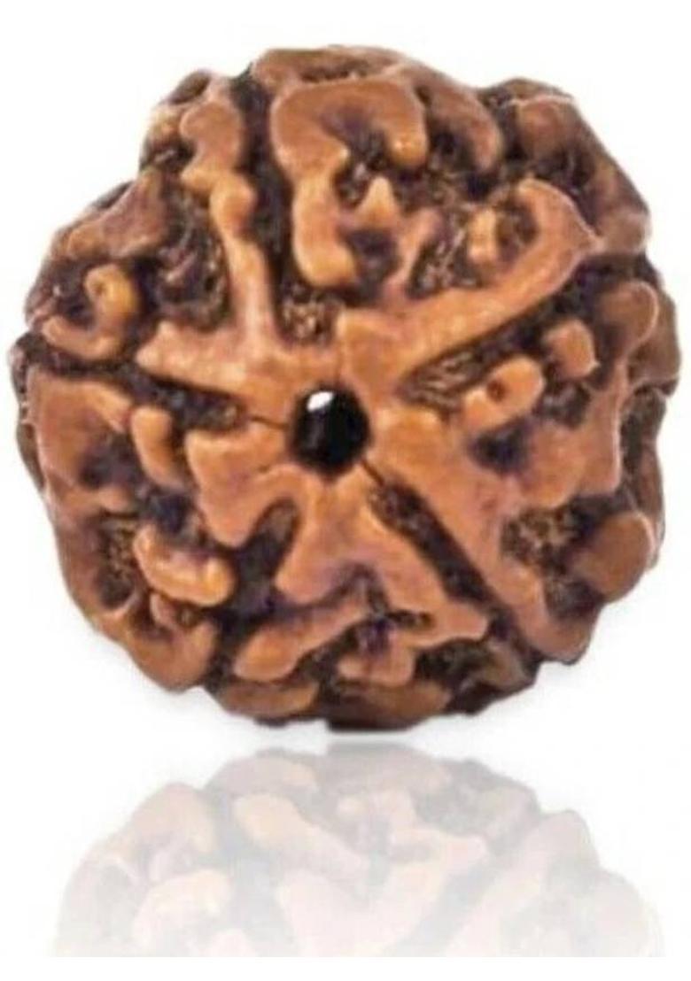 Divine rudras 5 Mukhi Nepali Rudraksha Big Size Wood Pendant - Indya