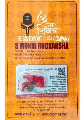 JangraBro Premium 8 Mukhi Nepali Rudraksha Eight Faced Rudraksha With Lab tested Sterling Silver Wood Pendant