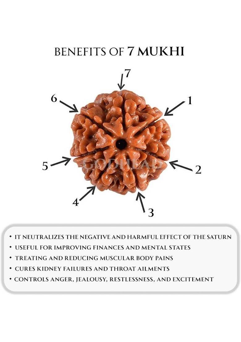 TODANI JEMS GODHEAD 100% NATURAL/ORIGINAL CERTIFIED NEPALI 7 MUKHI RUDRAKSHA WOOD PENDANT Wood - Indya