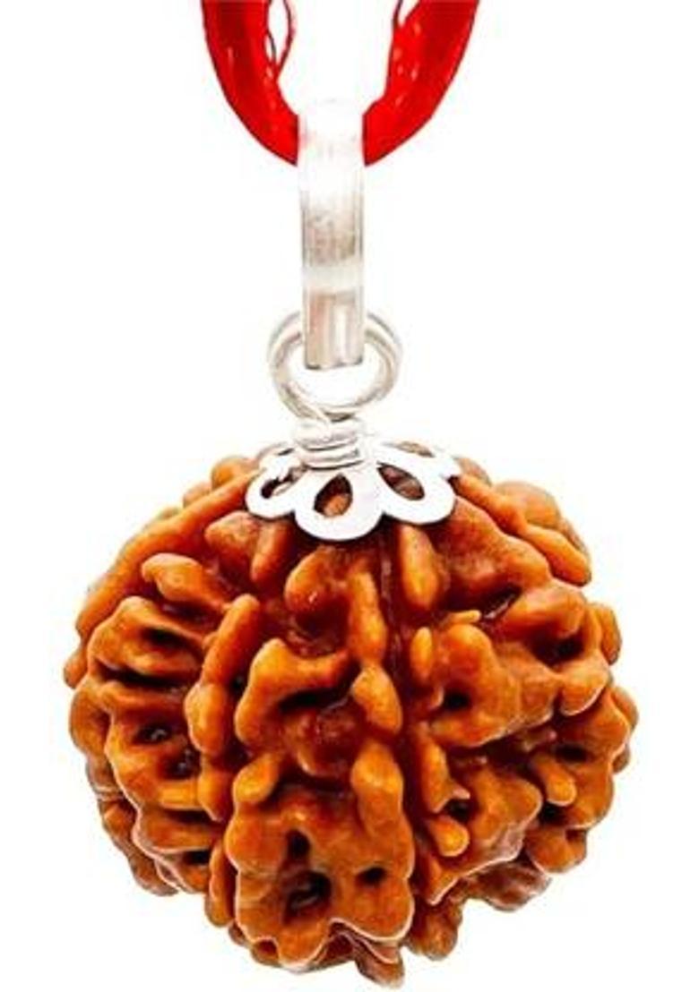 Divine rudras Pure 7 Mukhi Nepali Rudraksha Original seven faced rudraksha with beautness Wood Pendant - Indya