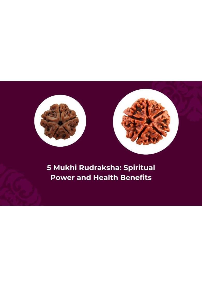 uniworldwide Lab Certified 5 Mukhi Rudraksha Nepali Wood Locket - Indya
