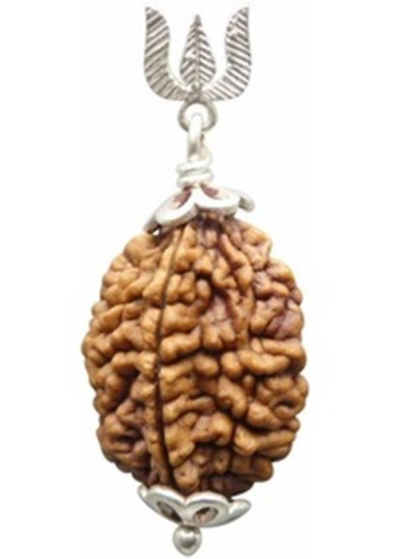 DIVINE SOUVENIRS Two Mukhi Rudraksha Certified/Original 2 Mukhi Rudraksh/Natural Wood Pendant - Indya