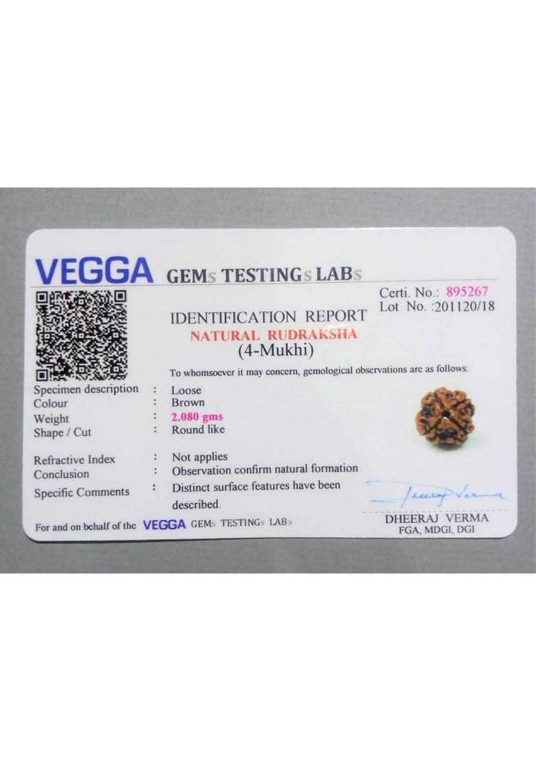 jupiter speaks 4 Mukhi Rudraksha With Lab Certificate, 100% Original Four Face Rudraksha Pendant Nepal Origin Size 16-20 mm Natural Brown Color for Men and Women Wood Pendant - Indya