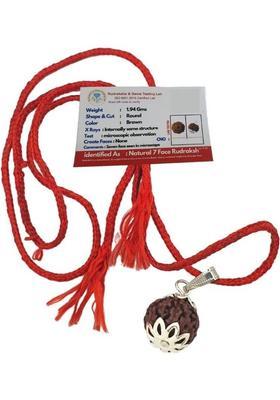HAPPY CREATION 7 Mukhi Rudraksha Original Certified Seven Face Natural Silver Wood Locket Set