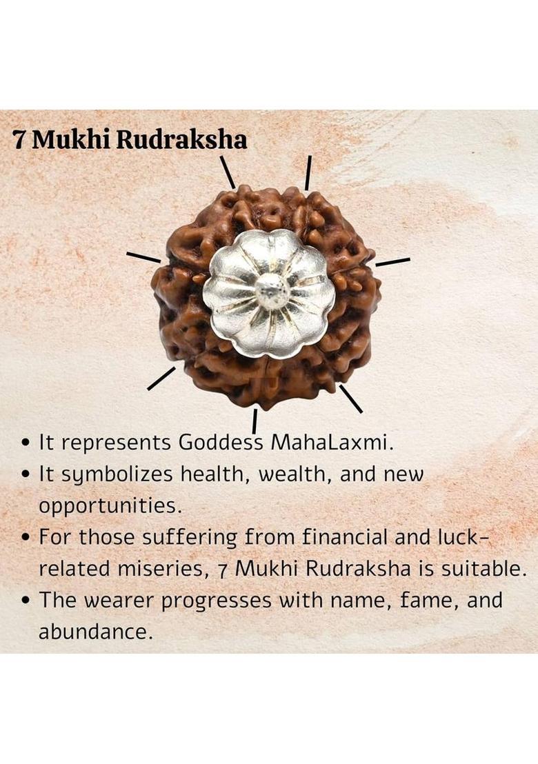 HAPPY CREATION 7 Mukhi Rudraksha Original Certified Seven Face Natural Silver Wood Locket Set - Indya