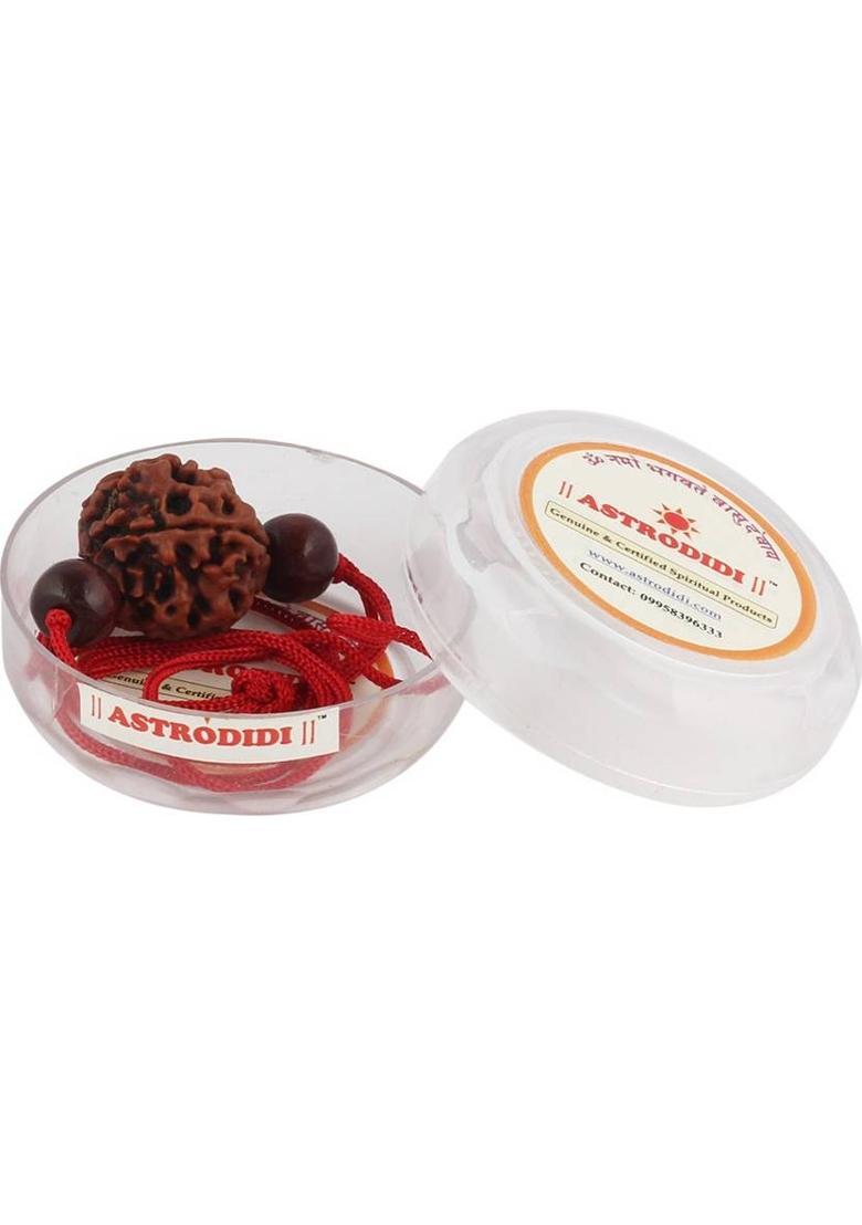 Astrodidi 4 Mukhi Rudraksha / Four Face Rudraksha With Red Chandan Beads Wood Pendant - Indya