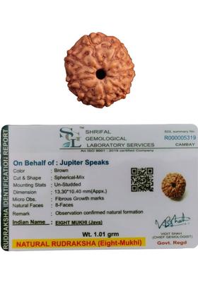 jupiter speaks Lab Certified 8 Mukhi Rudraksha Indonesia (Eight Faced Rudraksha Bead) for Men & Women Wood Pendant