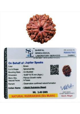jupiter speaks 6 Mukhi Nepali Rudraksha Lab Certified Size 18-19 mm Natural Brown Wood Pendant