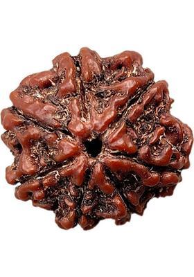 DIVINE SOUVENIRS Positive Effect Lab Certified 7 Mukhi Rudraksha Beads 7 Face Rudraksha Beads Nat Beads Wood