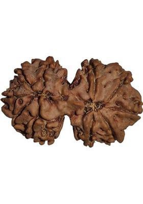 Nepali Rudraksha Ganesha Rudraksha 7 Mukhi Original IGL Certified | By Nepali Rudraksha | Mother of Pearl