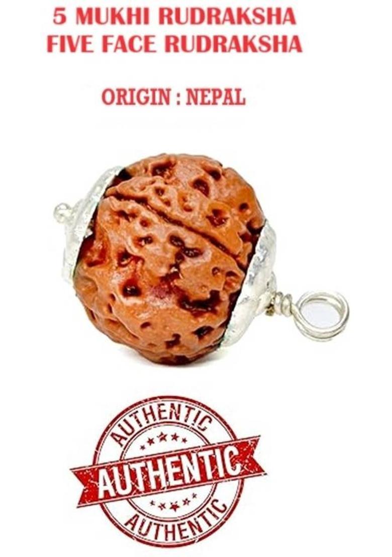 Astrodidi 5 Mukhi Rudraksha Pendant and Bracelet | Nepali Five Face Pendant and Bracelet Silver Wood Pendant - Indya