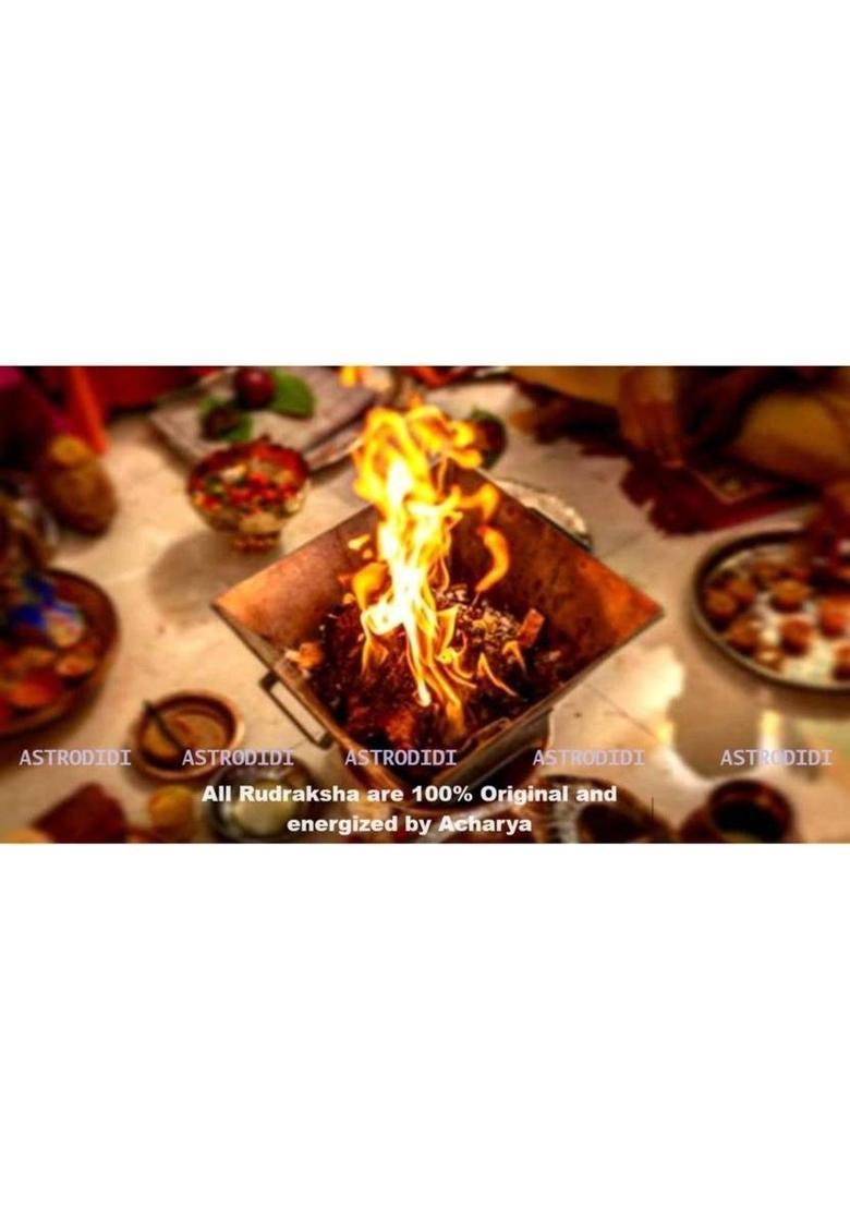 Astrodidi 5 Mukhi Rudraksha Pendant and Bracelet | Nepali Five Face Pendant and Bracelet Silver Wood Pendant - Indya