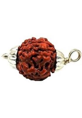 Anandam 3 Mukhi Rudraksha with Silver Capping | Lab Tested & X-ray Certified Wood Pendant