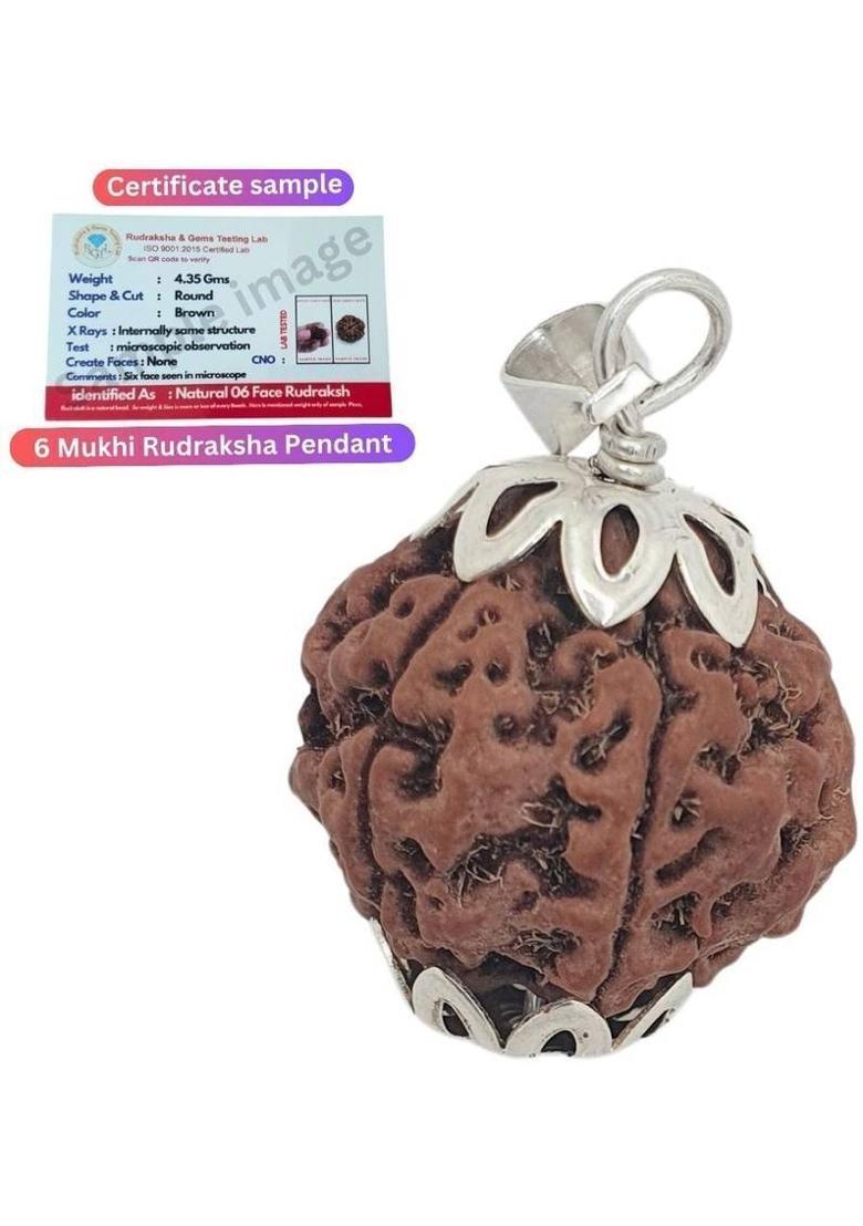 Rudra gems Jewellery 6 Mukhi Rudraksha Original IGL Certified | Original Seller Nepali Rudraksha Silver Beads Brass, Wood Locket Set - Indya