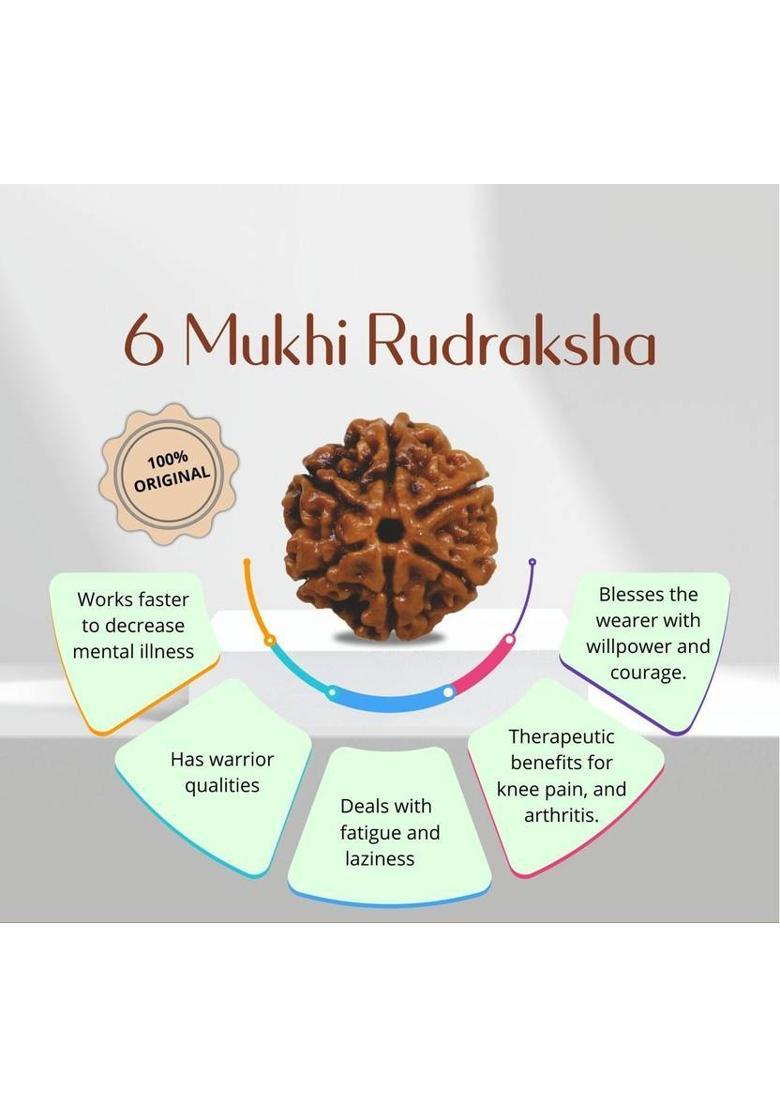 Rudra gems Jewellery 6 Mukhi Rudraksha Original IGL Certified | Original Seller Nepali Rudraksha Silver Beads Brass, Wood Locket Set - Indya