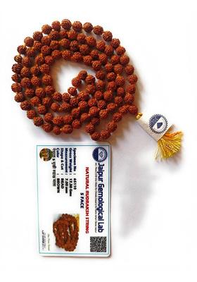 Original 5 Mukhi Rudraksha Natural 8mm Japa Mala 108 Beads Wood Chain