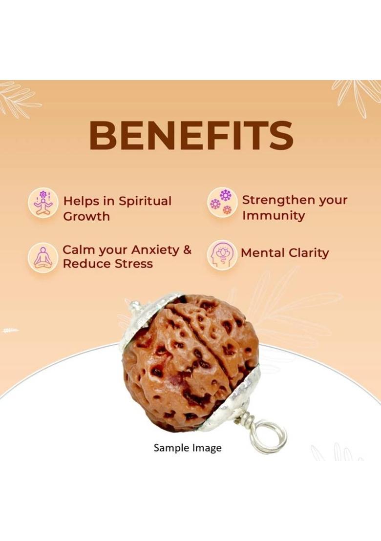 JangraBro Original 5 Mukhi Rudraksha with Silver Pendant from Nepal Certified by Lab Silver Beads Wood Locket - Indya