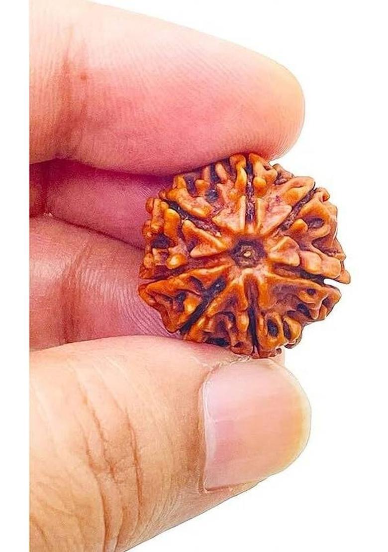 Rudra gems Jewellery 5 Mukhi Rudraksha Five Face Rudraksha Original Nepali Bead With Metal Capped Wood Pendant - Indya