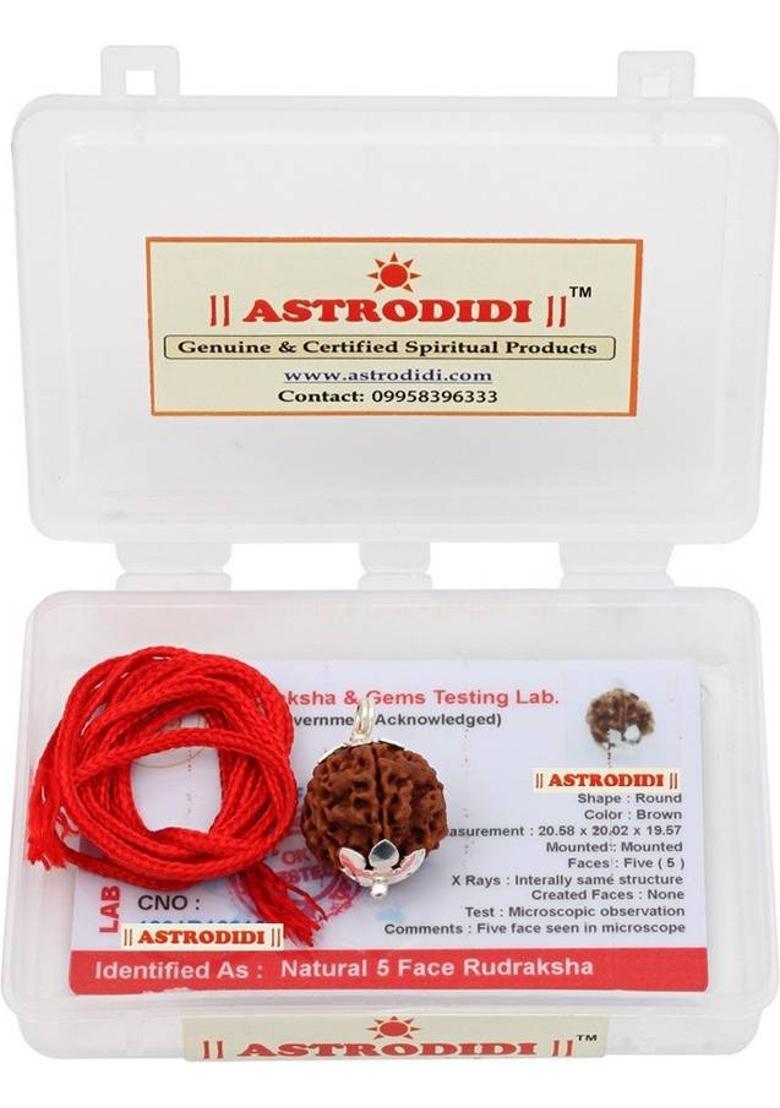 Astrodidi Five Face Rudraksha/ 5 Mukhi Rudraksha / 5 Face Rudraksha Silver Pendant With Lab Certificate Silver Wood Pendant - Indya